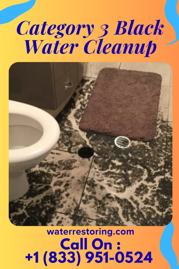 Category 3 Black Water Cleanup in Central Square, NY