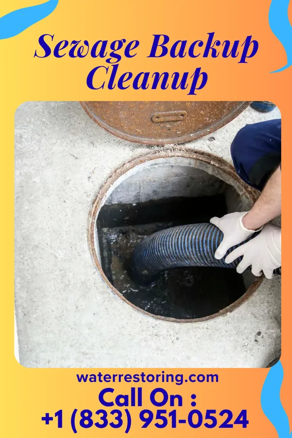 Sewage Backup Cleanup in Central Square, NY