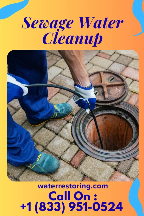 Sewage Water Cleanup in Central Square, NY