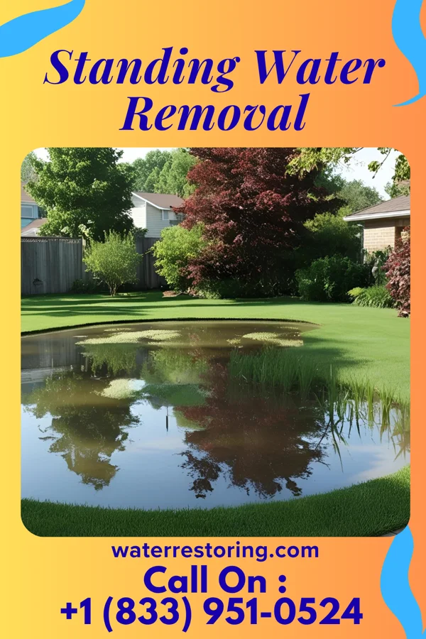 Standing Water Removal in Central Square, NY